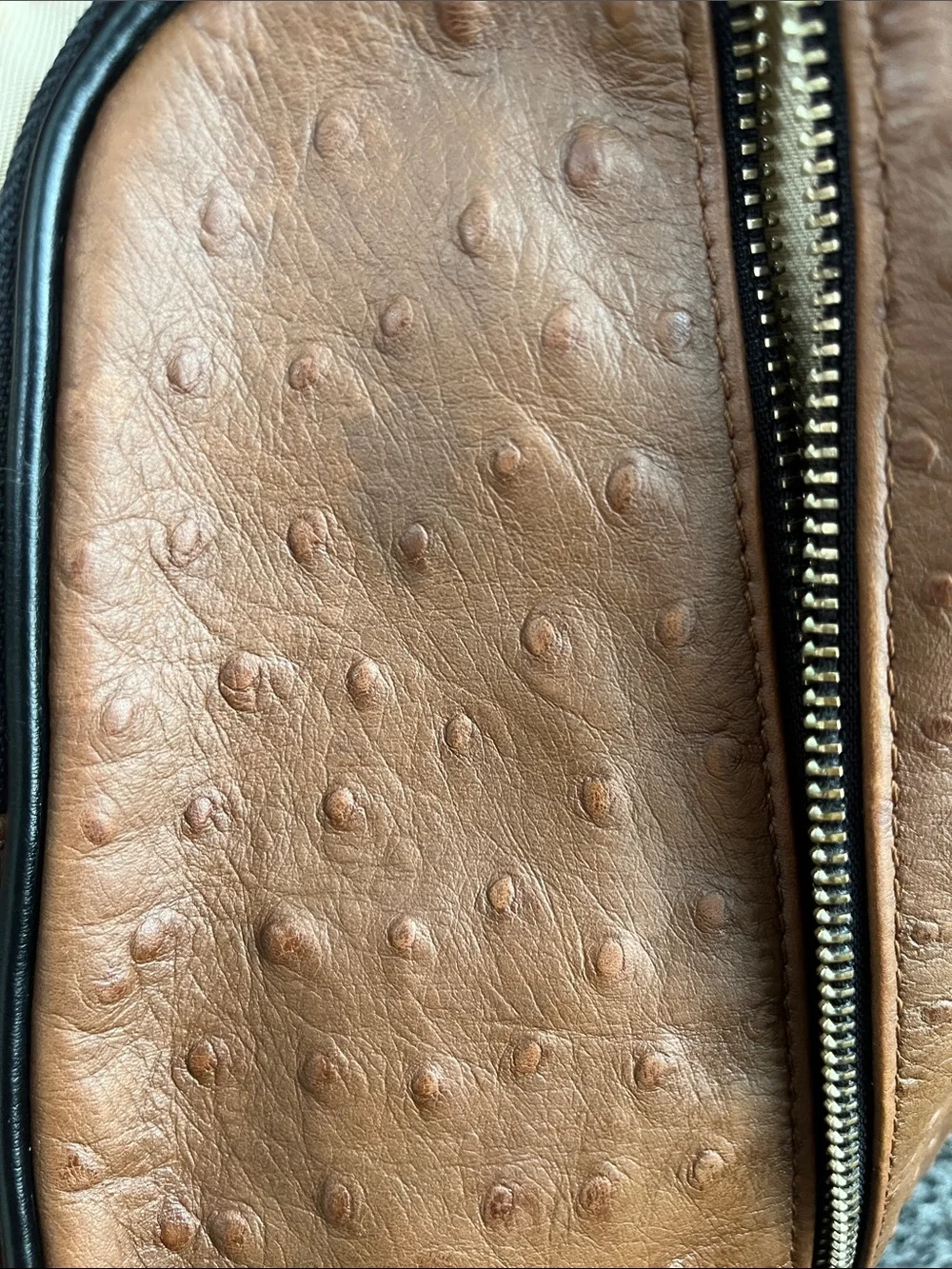 Valentina Brown Faux-Ostrich Mini Backpack Purse size with Gold Hardware